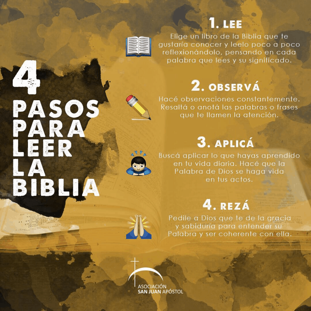 4 pasos para leer la biblia